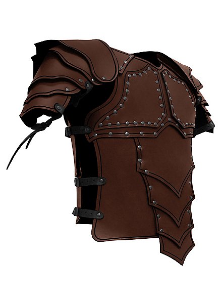 Leather Armour with shoulders - Dragon Rider.